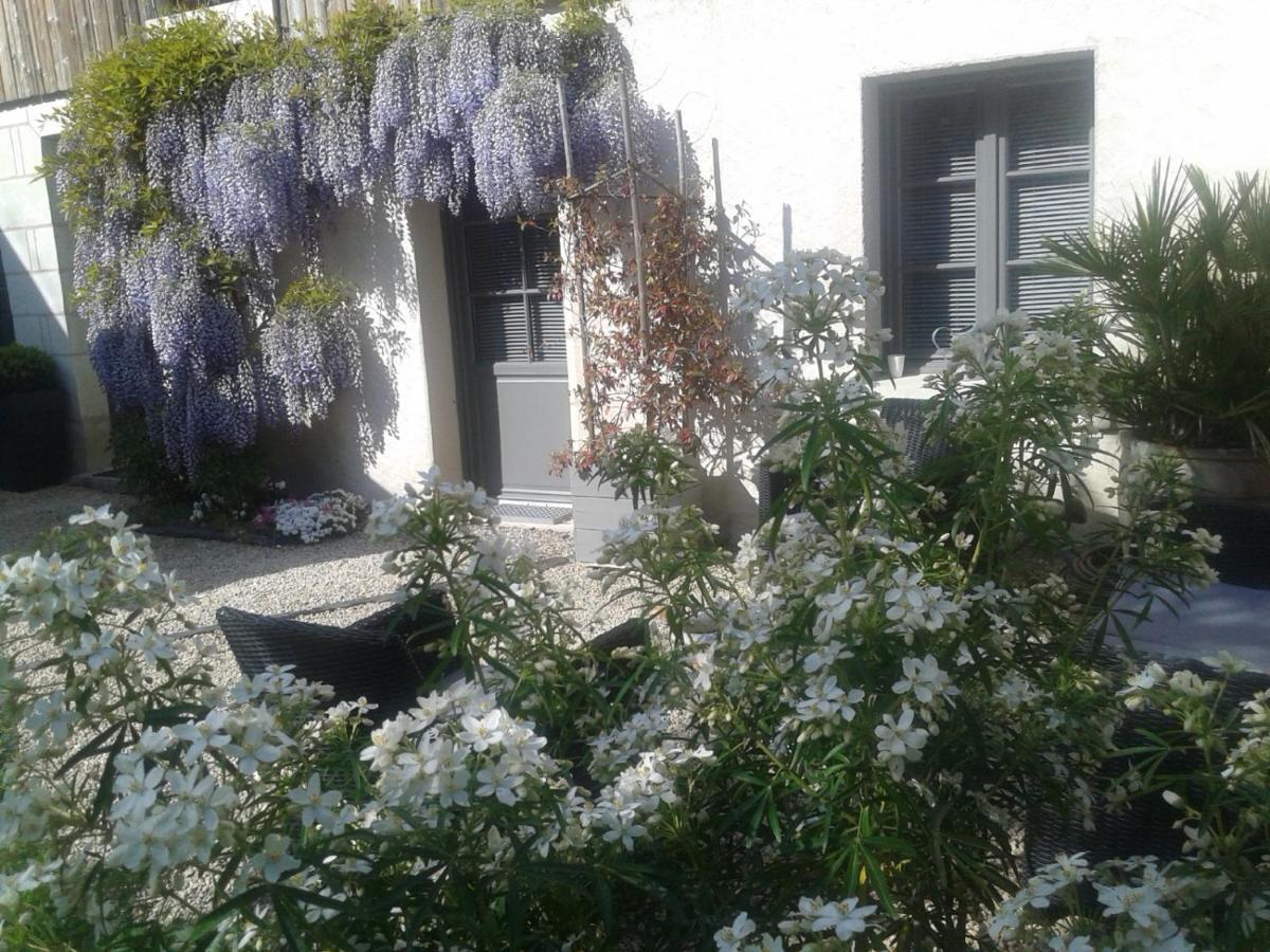 Chambres D'Hotes Rue Du Poids Bourgueil Luaran gambar