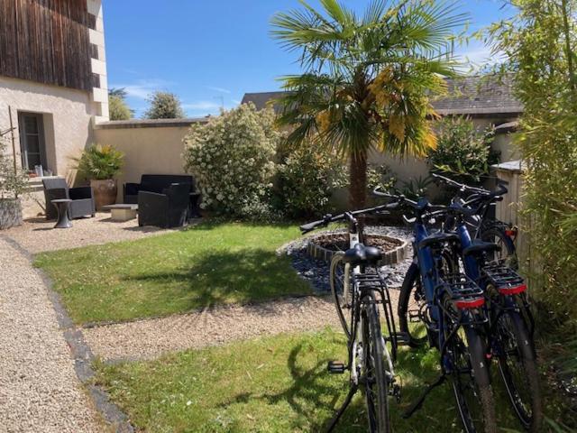 Chambres D'Hotes Rue Du Poids Bourgueil Luaran gambar